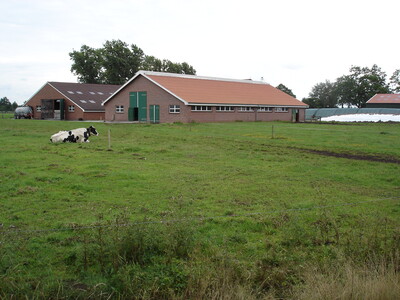Bäuerlicher Betrieb