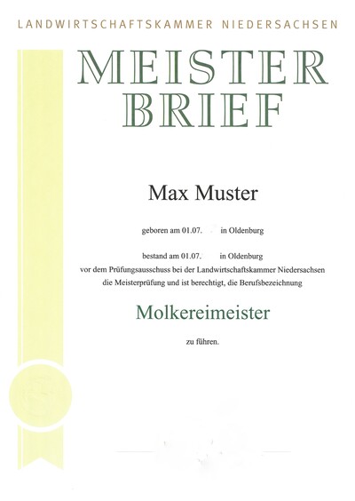Muster Meisterbrief
