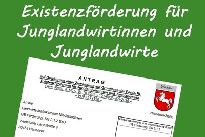 Existenzsicherung JL