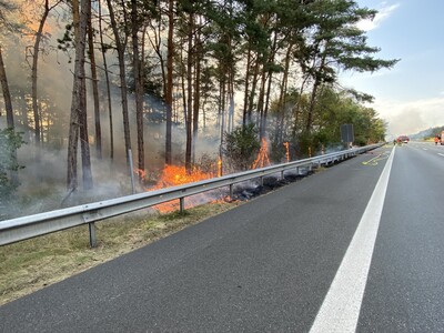 Waldbrand an einer Autobahn