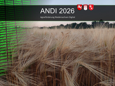 ANDI 2026