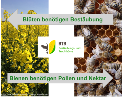 Symbolbild BTB - © Carsten Rieckmann / Hartmut Meyhoff Symbolbild BTB