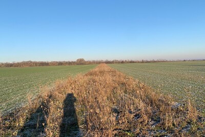 Biodiversit&auml;tsfl&auml;che im Winter
